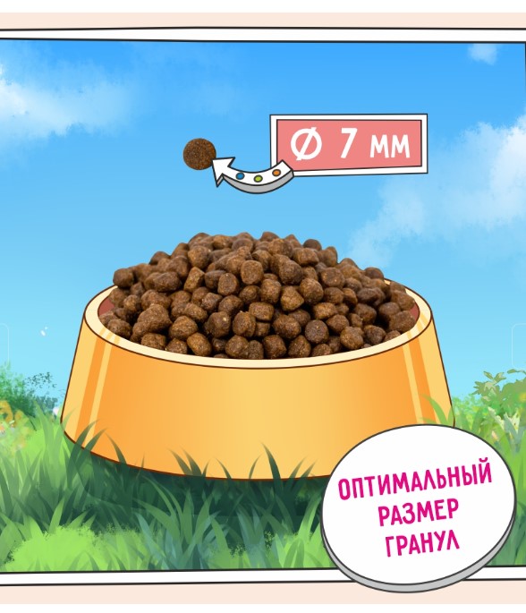 Сухой корм для котят ZILLII Kitten (индейка, ягненок) (400 гр)