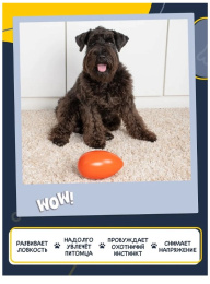 FANCY PETS игрушка для собак Неуловимое яйцо