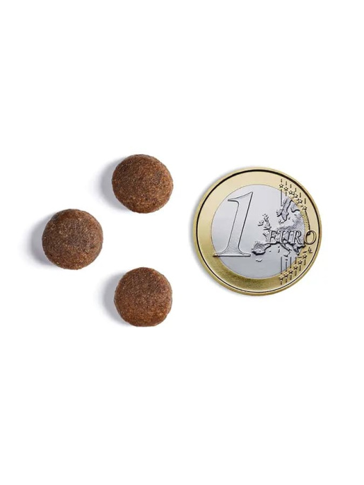 Сухой корм для собак Ambrosia Grain Free Dog Adult All Breed (курица, лосось) (2 кг)