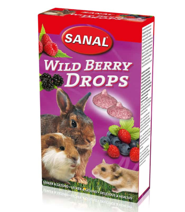 Лакомство для грызунов Wild Berry Drops с дикими ягодами Sanal (45 гр)