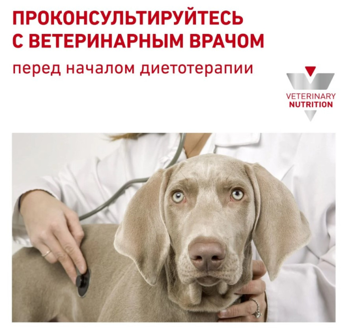 Сухой корм для собак Royal Canin Hypoallergenic Dog (1,5 кг)