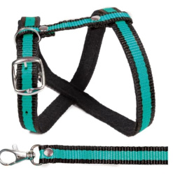 Комплект шлейка и поводок Gamma Прогулка