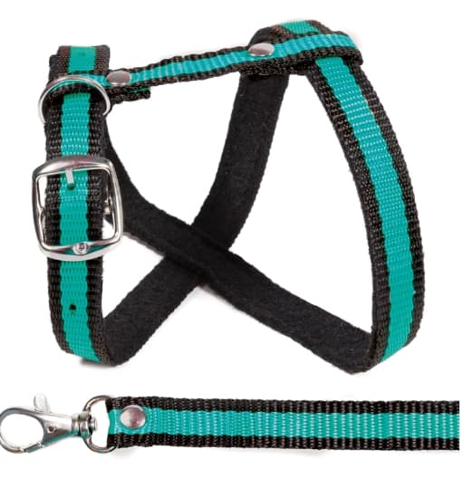 Комплект шлейка и поводок Gamma Прогулка