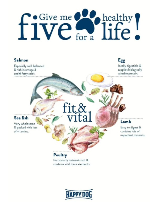 Сухой корм для собак HAPPY DOG Supreme Mini Senior (4 кг)