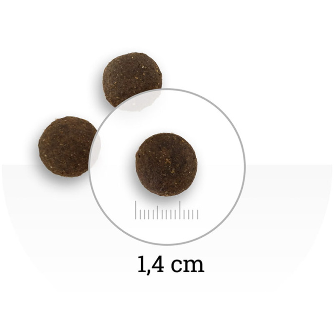 Сухой корм для собак Natura Wild DOG Ontario Wildland (ягненок, свинина) (12 кг)