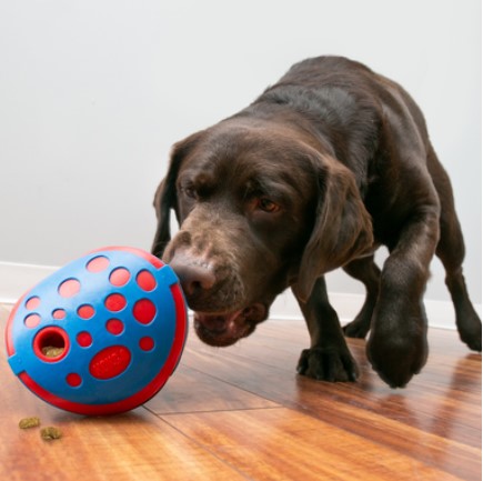 KONG Игрушка для собак Rewards Wally (13 см)