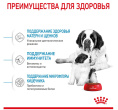 Сухой корм для щенков Royal Canin Giant Starter (15 кг)
