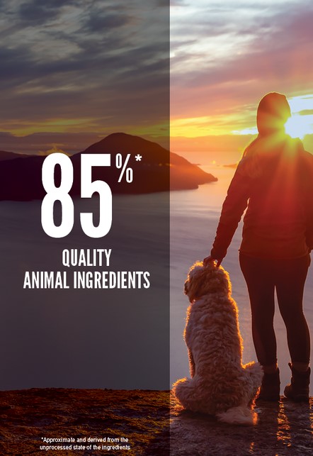 Сухой корм для собак ORIJEN SENIOR (85/15) (11,4 кг)