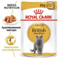 Влажный корм для кошек Royal Canin British Shorthair Adult (соус) (85 гр*28 шт)
