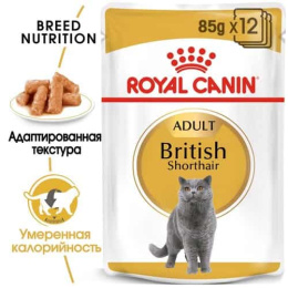 Влажный корм для кошек Royal Canin British Shorthair Adult (соус)