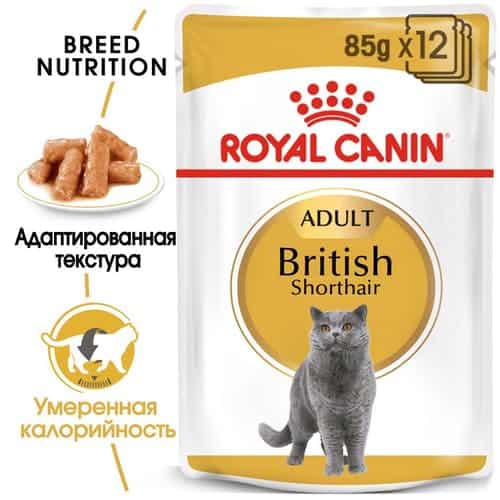Влажный корм для кошек Royal Canin British Shorthair Adult (соус) (85 гр*28 шт)