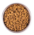 Сухой корм для кошек Monge Cat Indoor (курица) (10 кг)