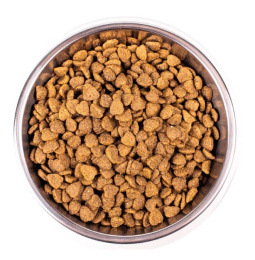 Сухой корм для кошек Monge Cat Indoor (курица)