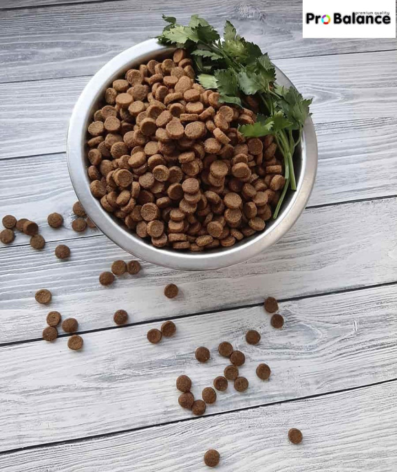 Сухой корм для собак ProBalance Dog Immuno Adult Mini (2 кг)
