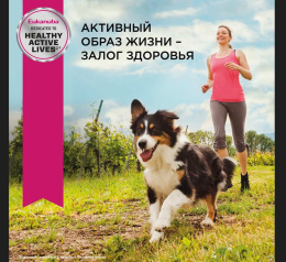 Сухой корм для собак Eukanuba Adult Toy Breed (птица)