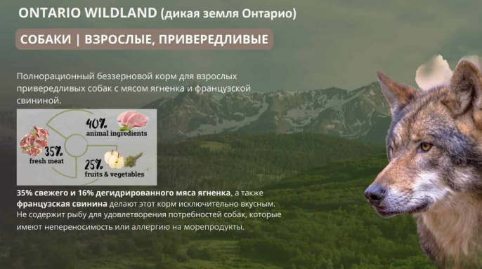 Сухой корм для собак Natura Wild DOG Ontario Wildland (ягненок, свинина) (12 кг)