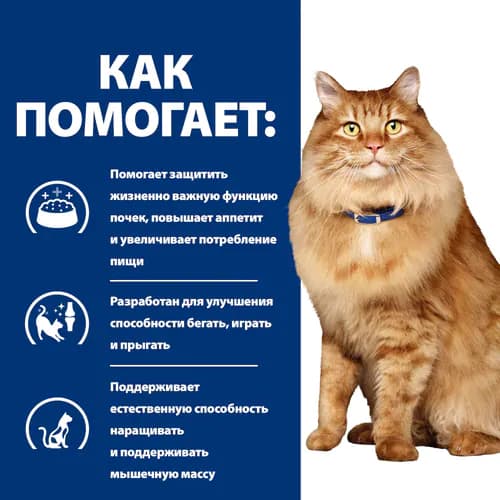 Сухой корм для кошек Hill's Prescription Diet k/d, Mobility Kidney, Joint Care (курица) (1.5 кг)