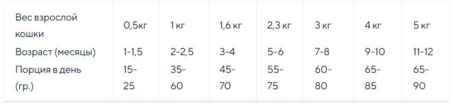 Сухой корм для котят Adragna Cat&Co Wellness Kitten (курица, рис) (1,5 кг)