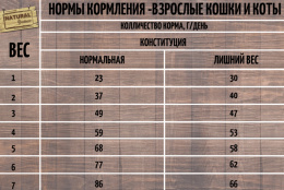 Сухой корм для кошек Natural Greatness Top Mountain Recipe Kitten & Cat (кролик)