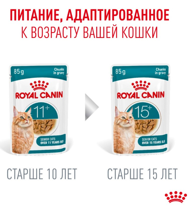 Влажный корм для пожилых кошек Royal Canin Ageing 11+ (кусочки в соусе) (85гр.х12 шт)