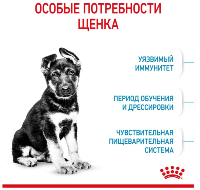 Сухой корм для щенков Royal Canin Maxi Puppy (15 кг)