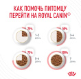 Сухой корм для кошек Royal Canin Hair & Skin Care (2 кг)