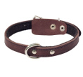 Ошейник кожаный на синтепоне с кольцом Gamma (20 х 450 мм)