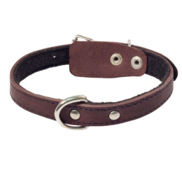 Ошейник кожаный на синтепоне с кольцом Gamma