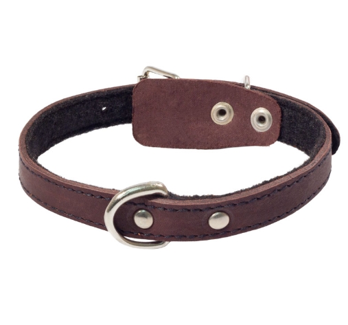 Ошейник кожаный на синтепоне с кольцом Gamma (20 х 450 мм)