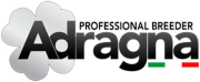 Adragna