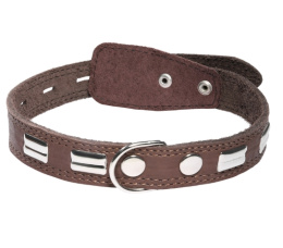 Ошейник кожаный c кольцом и украшением Gamma