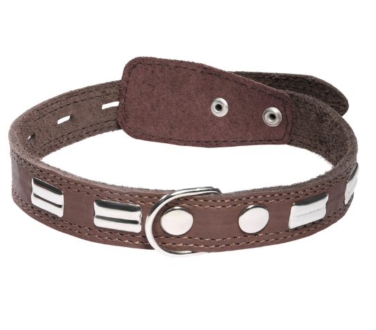 Ошейник кожаный c кольцом и украшением Gamma (58 х 2.5 см)