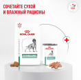 Влажный корм для собак при диабете Royal Canin Glycobalance Dog (195 гр.)