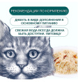 Влажный корм для кошек Wanpy Cat (курица, треска) (85 гр)