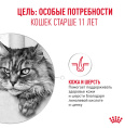 Влажный корм для пожилых кошек Royal Canin Ageing 11+ (кусочки в соусе) (85гр.х12 шт)