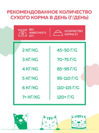 Сухой корм для кошек Наш Рацион Adult Cat (лосось)