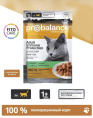Влажный корм для кошек ProBalance Immuno Protection Cat (кролик в соусе) (85 гр.)