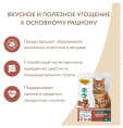 Лакомство для кошек Мнямс "Выведение шерсти" хрустящие подушечки (говядина) (60 гр.)