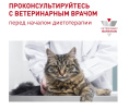 Влажный корм для кошек Royal Canin Neutered Maintenance Cat (мелкие кусочки в соусе) (85 гр*12 шт)