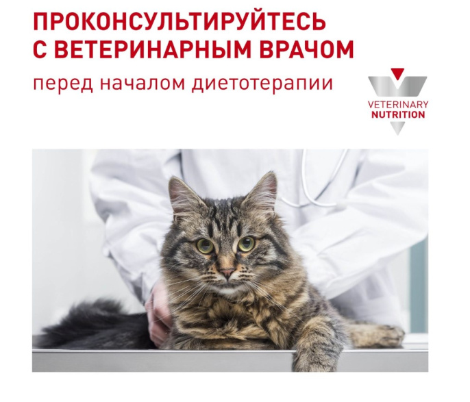 Влажный корм для кошек Royal Canin Neutered Maintenance Cat (мелкие кусочки в соусе) (85 гр*12 шт)