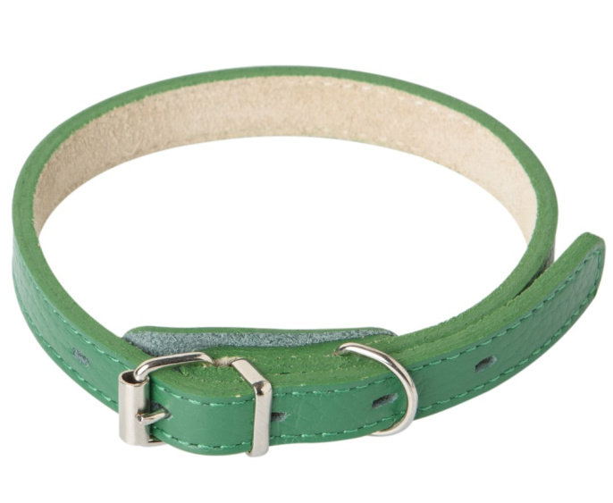 Ошейник для собак Mr.Kranch из натуральной кожи прямой зеленый (39-50 см)