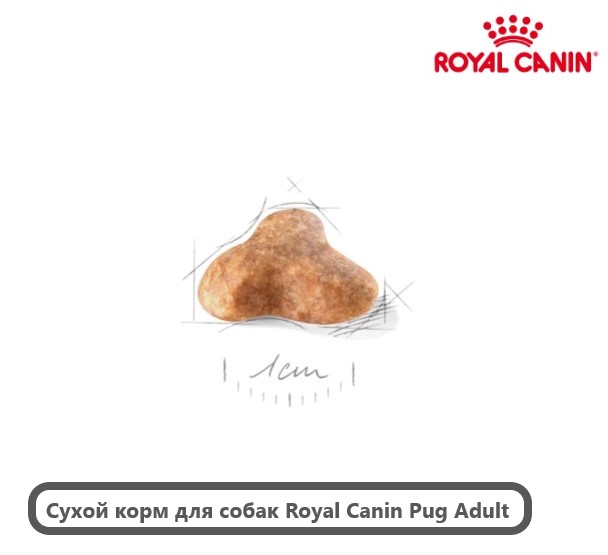 Сухой корм для собак Royal Canin Pug Adult (0,5 кг)