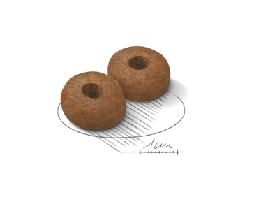 Сухой корм для собак Royal Canin Maxi Ageing 8+ (15 кг)