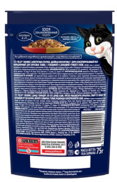 Влажный корм для кошек Felix Аппетитные кусочки Двойная вкуснятина в желе (говядина, домашняя птица)