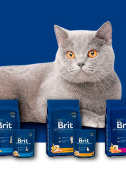 Корм Брит (Brit) для кошек Корм Брит (Brit) для кошек