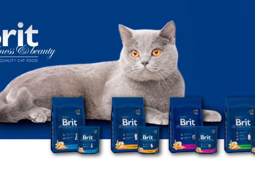 Корм Брит (Brit) для кошек