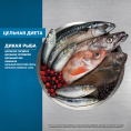 Сухой корм для кошек ORIJEN CAT SIX FISH (340 гр.)