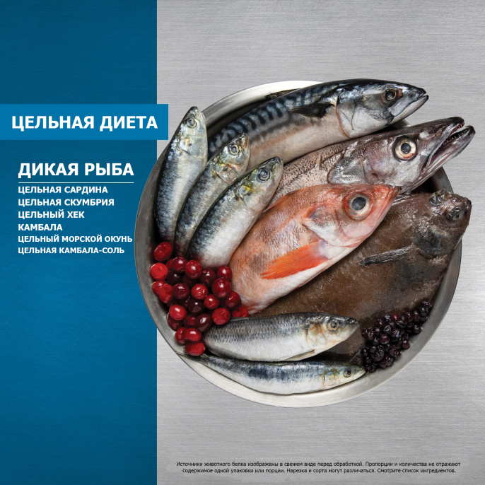 Сухой корм для кошек ORIJEN CAT SIX FISH (340 гр.)
