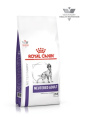 Сухой корм для собак Royal Canin Neutered Adult Medium Dog (9 кг)