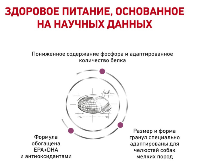 Сухой корм для собак Royal Canin Renal Small Dog (0,5 кг)